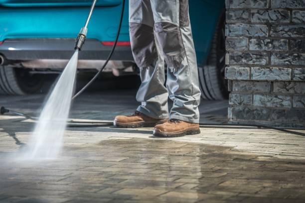 Best Soft Washing  in Von Ormy, TX