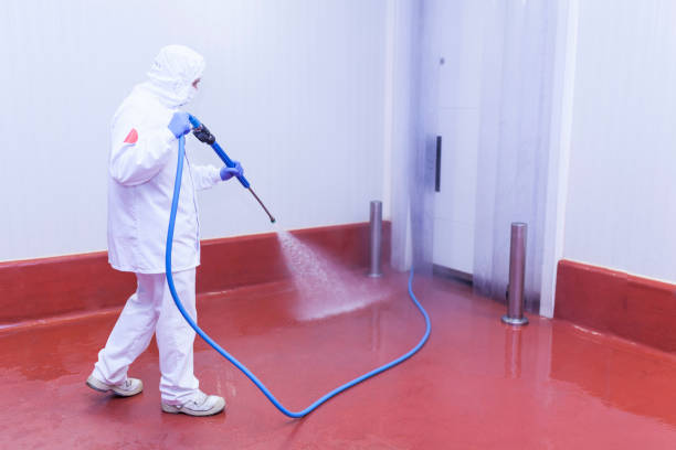 Trusted Von Ormy, TX Pressure Washing Services Experts