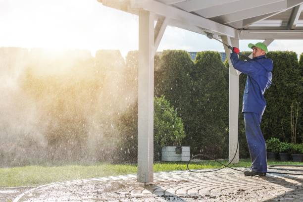 Best Solar Panel Cleaning  in Von Ormy, TX